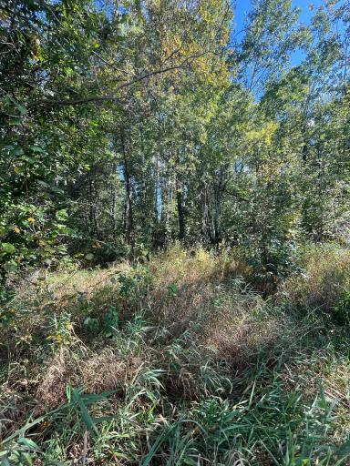 TBD E Pine Drive, Angle Inlet, MN 56711