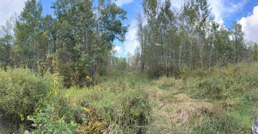 TBD 50th Street, Frederic, WI 54837