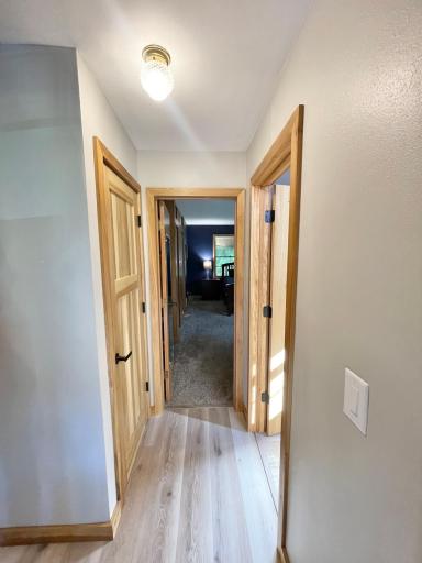 515 W Van Dusen Street, Springfield, MN 56087