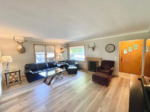 515 W Van Dusen Street, Springfield, MN 56087