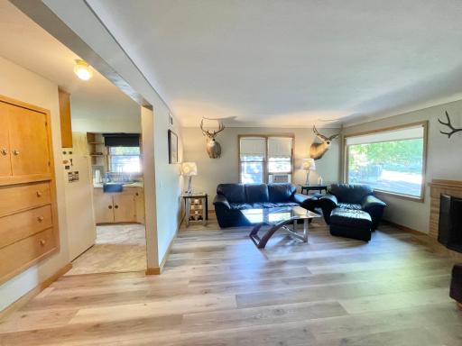 515 W Van Dusen Street, Springfield, MN 56087