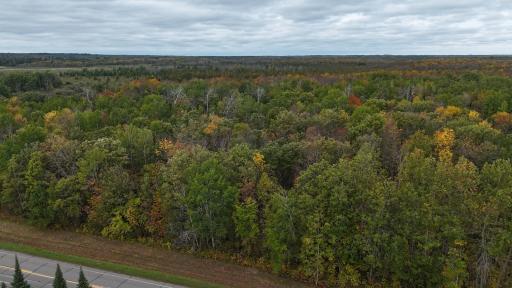 dji_fly_20250918_103942_0203_1758210342140_photo.JPG
