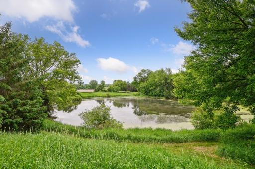 Enjoy all the wildlife on the pond in the summer and ice skate in the winter!