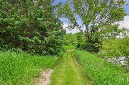 Right around the bend you will find raspberry bushes, pear trees and apple trees.