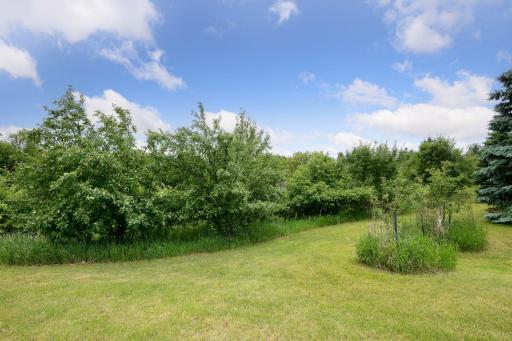 1755 Chateau Way, Minnetrista, MN 55359