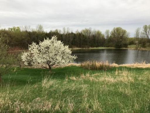 1755 Chateau Way, Minnetrista, MN 55359