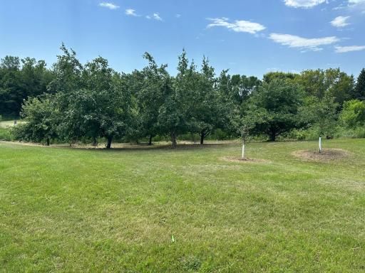 1755 Chateau Way, Minnetrista, MN 55359