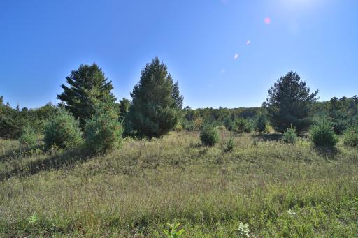 TBD Partridge Court, Browerville, MN 56438