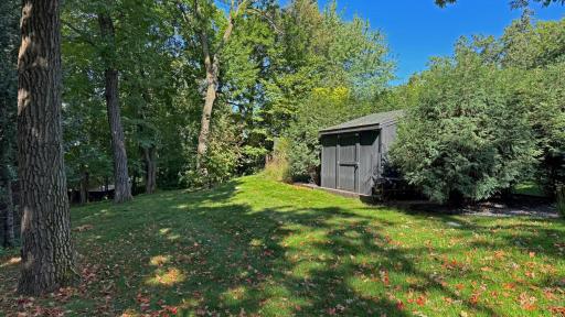 Storage shed, hidden near the pool area. IMG_7816_e1.jpg