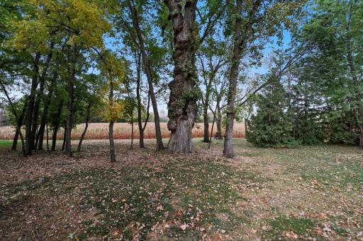 10703 187th Street, Silver Lake, MN 55381