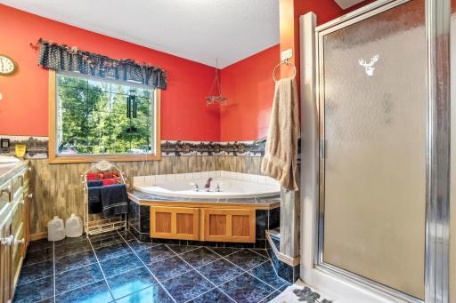 48111 E Pine Lake Road, Gonvick, MN 56644