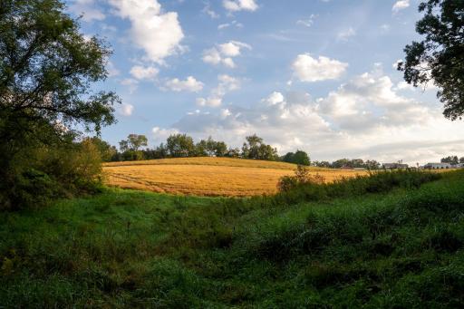 Winona 138.02-086.jpg