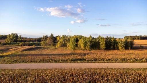 xxx 225th Street, Litchfield, MN 55355