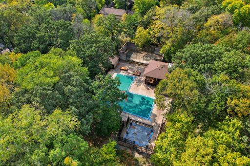 Outdoor pool and kiddie pool in your neighborhood. A basketball court too!