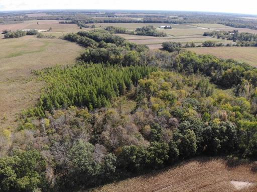 TBD 150th Street, Verndale, MN 56481