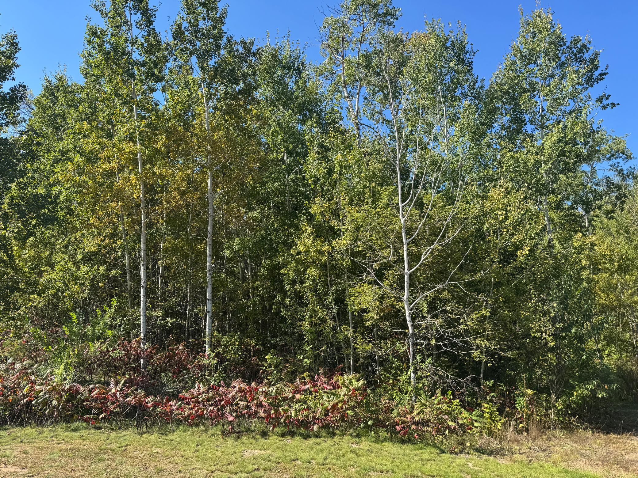 Front of lot.jpg