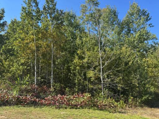 TBD 377th Street, Perham, MN 56573