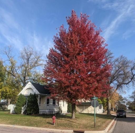 Photo for 801 Carver Street N, Winthrop, MN 55396 - listing #6793709 801 Carver Street N, Winthrop, MN 55396
