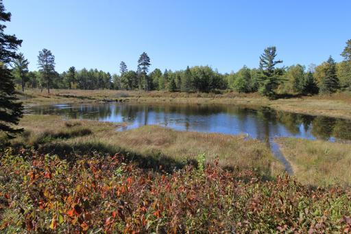 Welcome to your 40 acre parcel complete with a scenic pond!