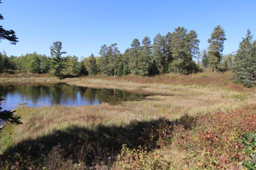 TBD County Road 136, Fifty Lakes, MN 56448