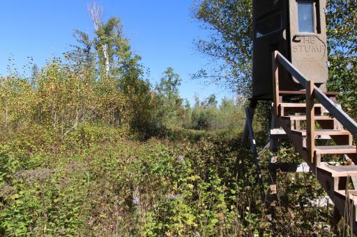 TBD County Road 136, Fifty Lakes, MN 56448