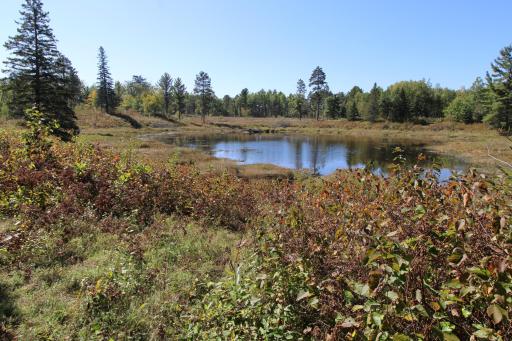 Imagine a portable deer stand overlooking this scenic view!