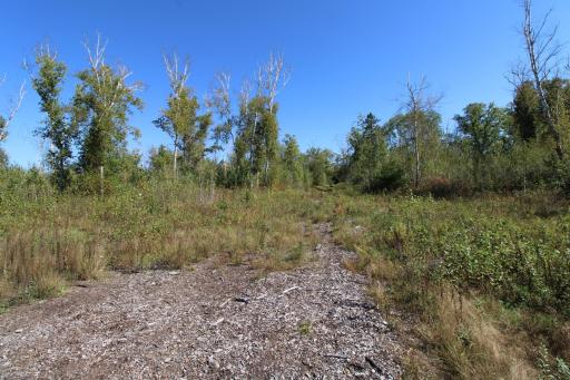 TBD County Road 136, Fifty Lakes, MN 56448