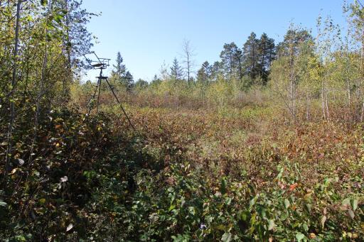 TBD County Road 136, Fifty Lakes, MN 56448