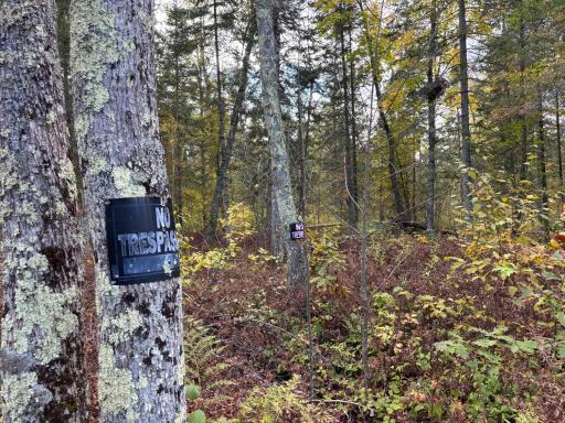 TBD Grove Street, Palisade, MN 56469