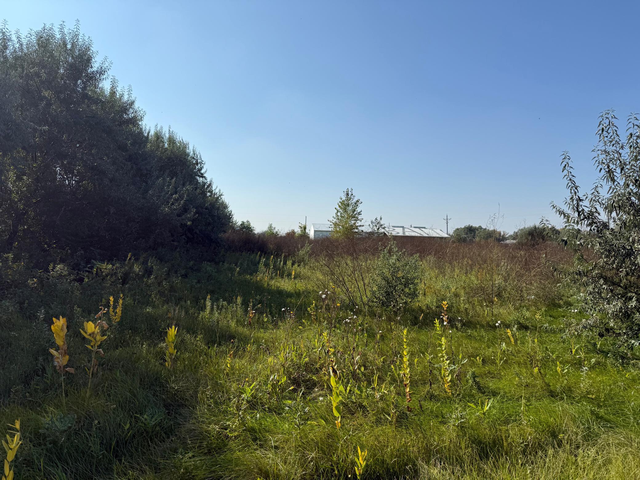 View to the west from the driveway.