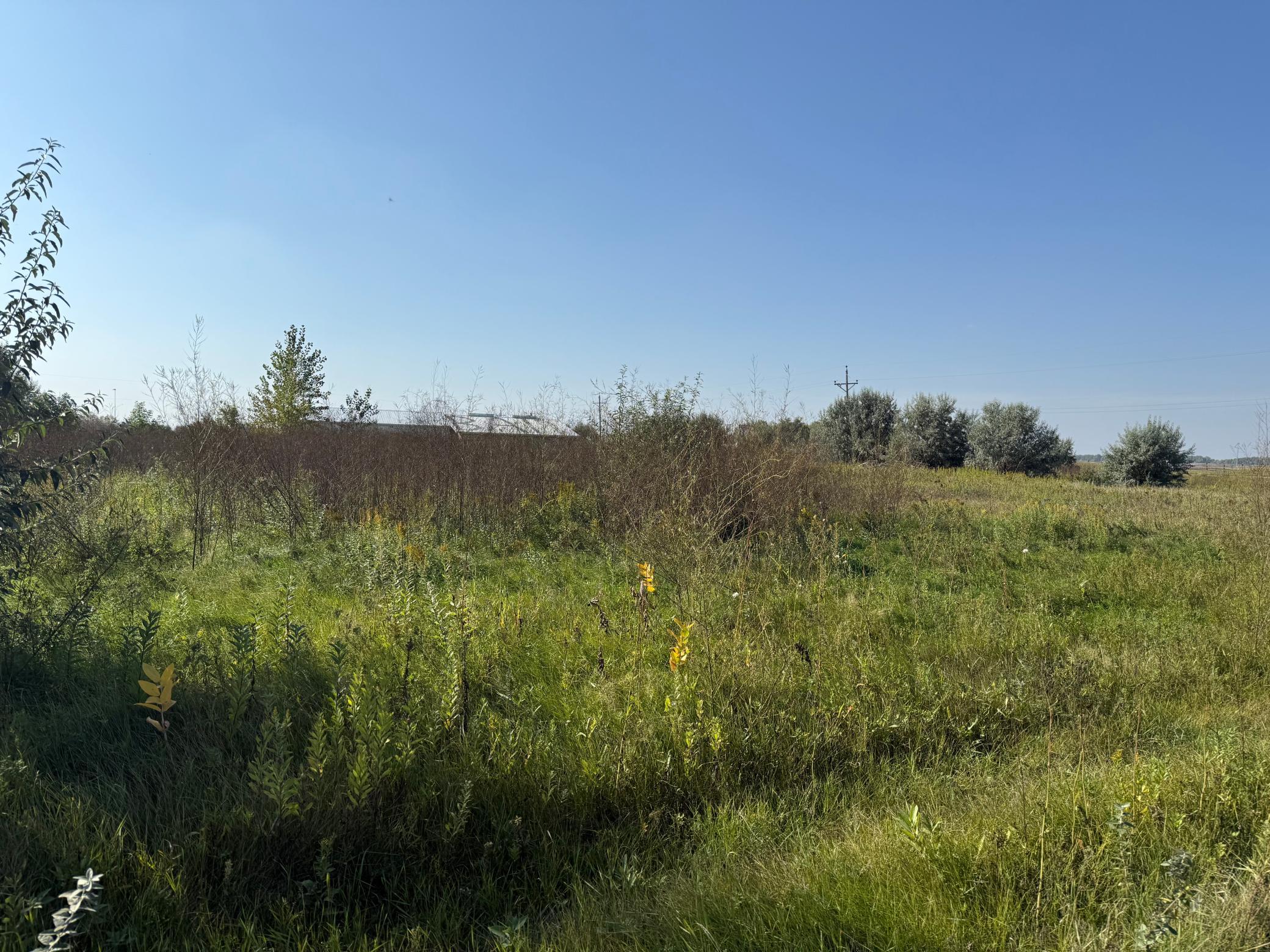 View to northwest from the driveway.