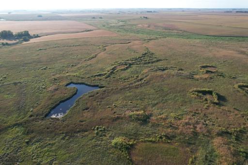 TBD 340th Street, Ogema, MN 56569