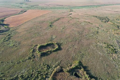 TBD 340th Street, Ogema, MN 56569