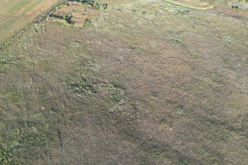 TBD 340th Street, Ogema, MN 56569