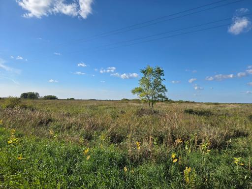 TBD 340th Street, Ogema, MN 56569