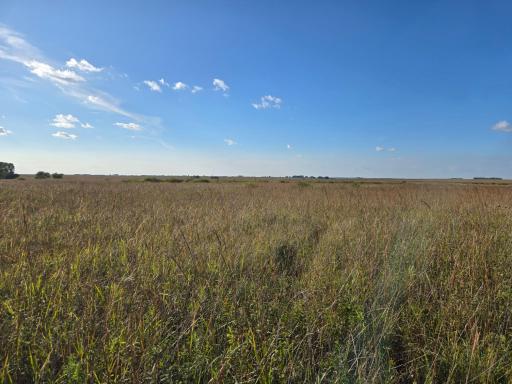 TBD 340th Street, Ogema, MN 56569