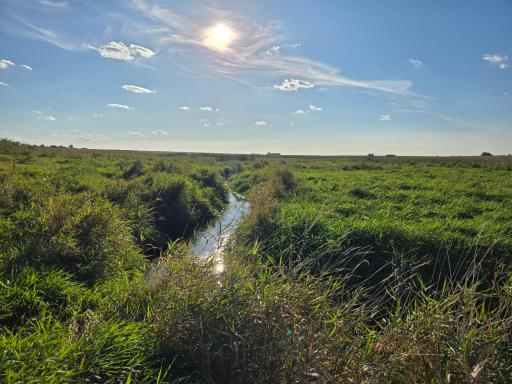 TBD 340th Street, Ogema, MN 56569