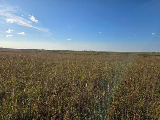 TBD 340th Street, Ogema, MN 56569
