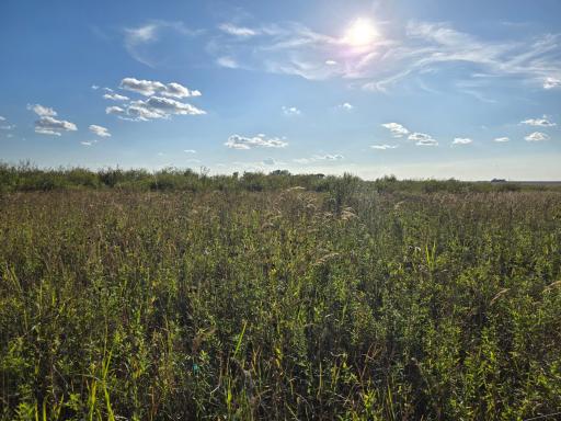 TBD 340th Street, Ogema, MN 56569