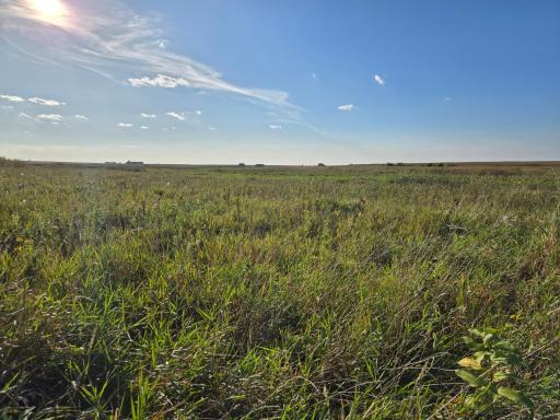 TBD 340th Street, Ogema, MN 56569