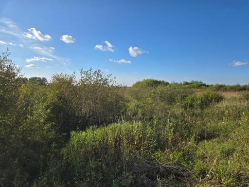 TBD 340th Street, Ogema, MN 56569