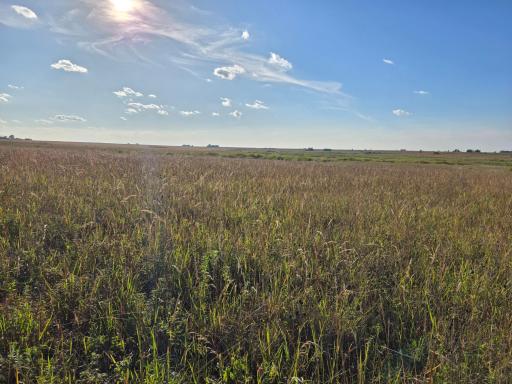 TBD 340th Street, Ogema, MN 56569