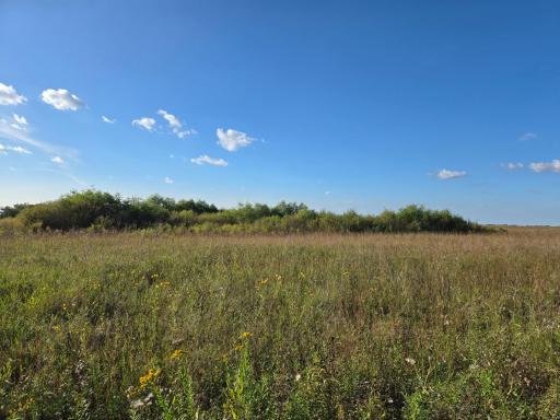 TBD 340th Street, Ogema, MN 56569