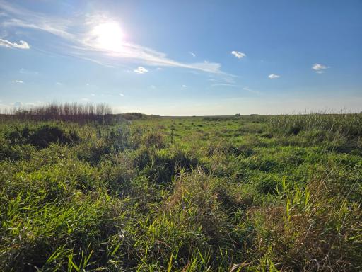 TBD 340th Street, Ogema, MN 56569