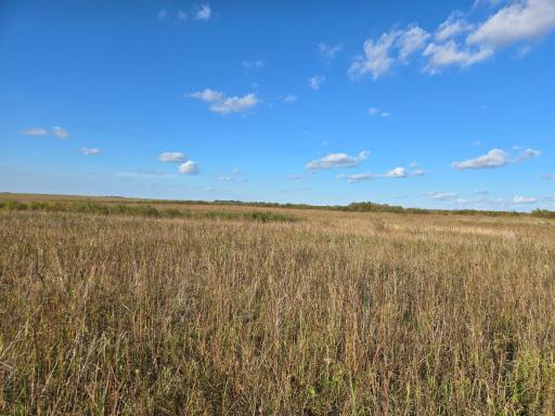 TBD 340th Street, Ogema, MN 56569