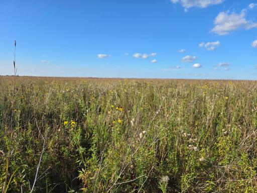 TBD 340th Street, Ogema, MN 56569