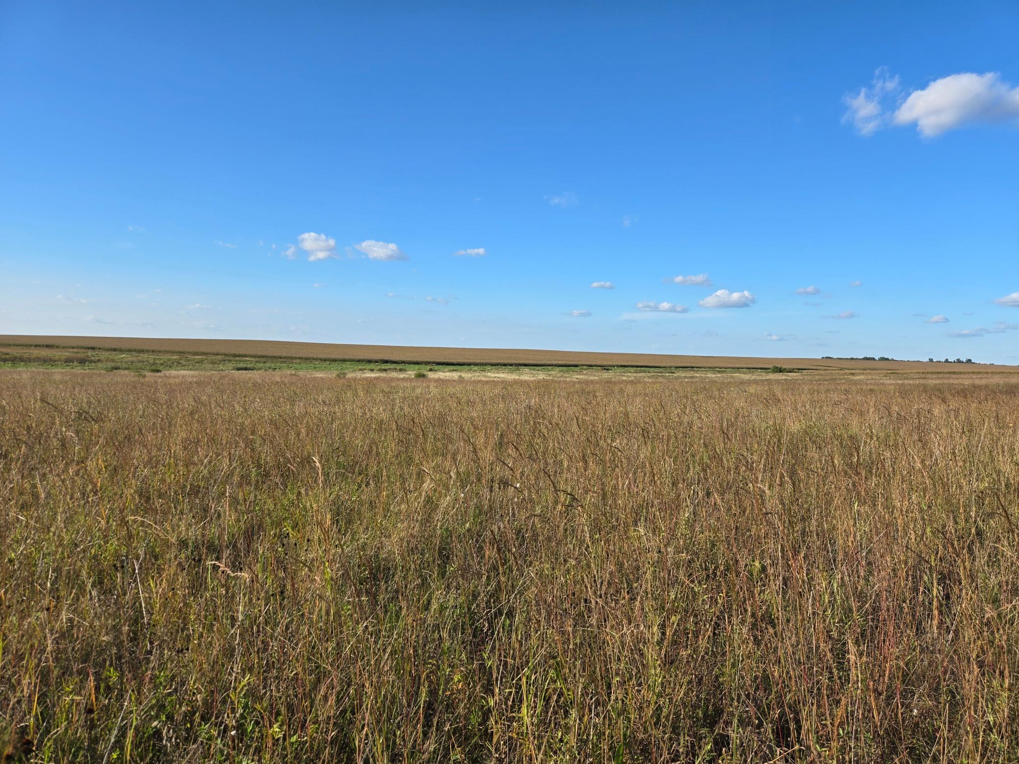 20250922_171901.jpg