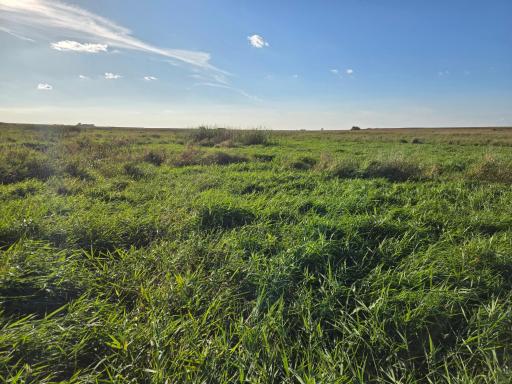 TBD 340th Street, Ogema, MN 56569