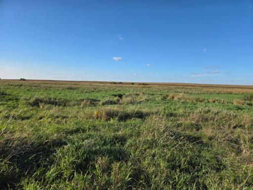 TBD 340th Street, Ogema, MN 56569