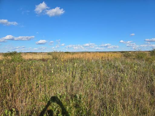 TBD 340th Street, Ogema, MN 56569